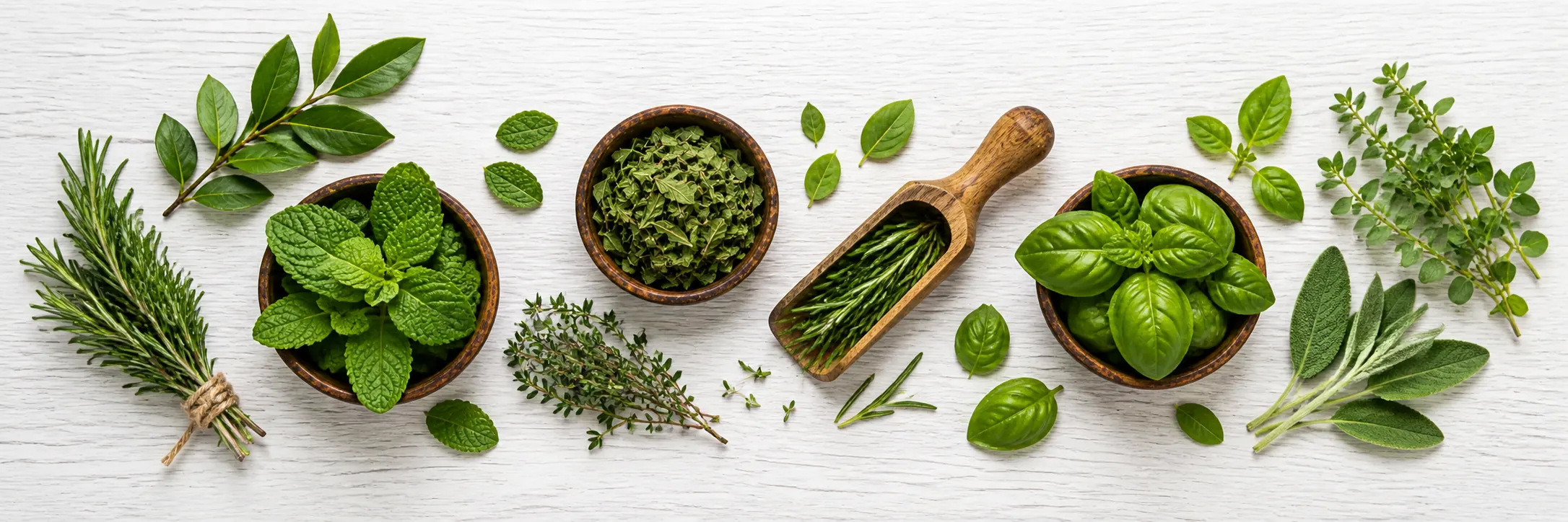 Herbs & Leaves